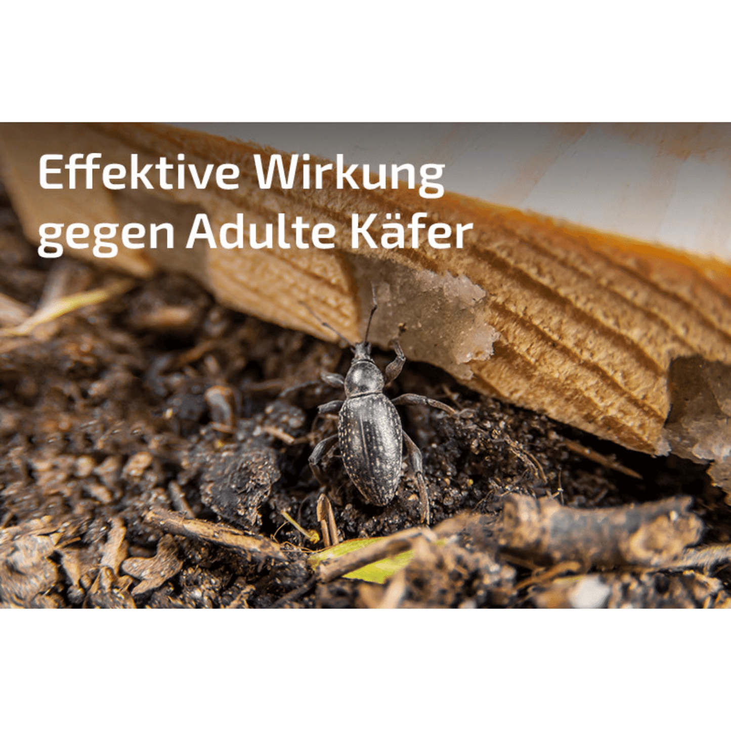 Nematop und nematop Käfer-Stopp geg. Dickmaulrüsslerlarven | SET für 20m²