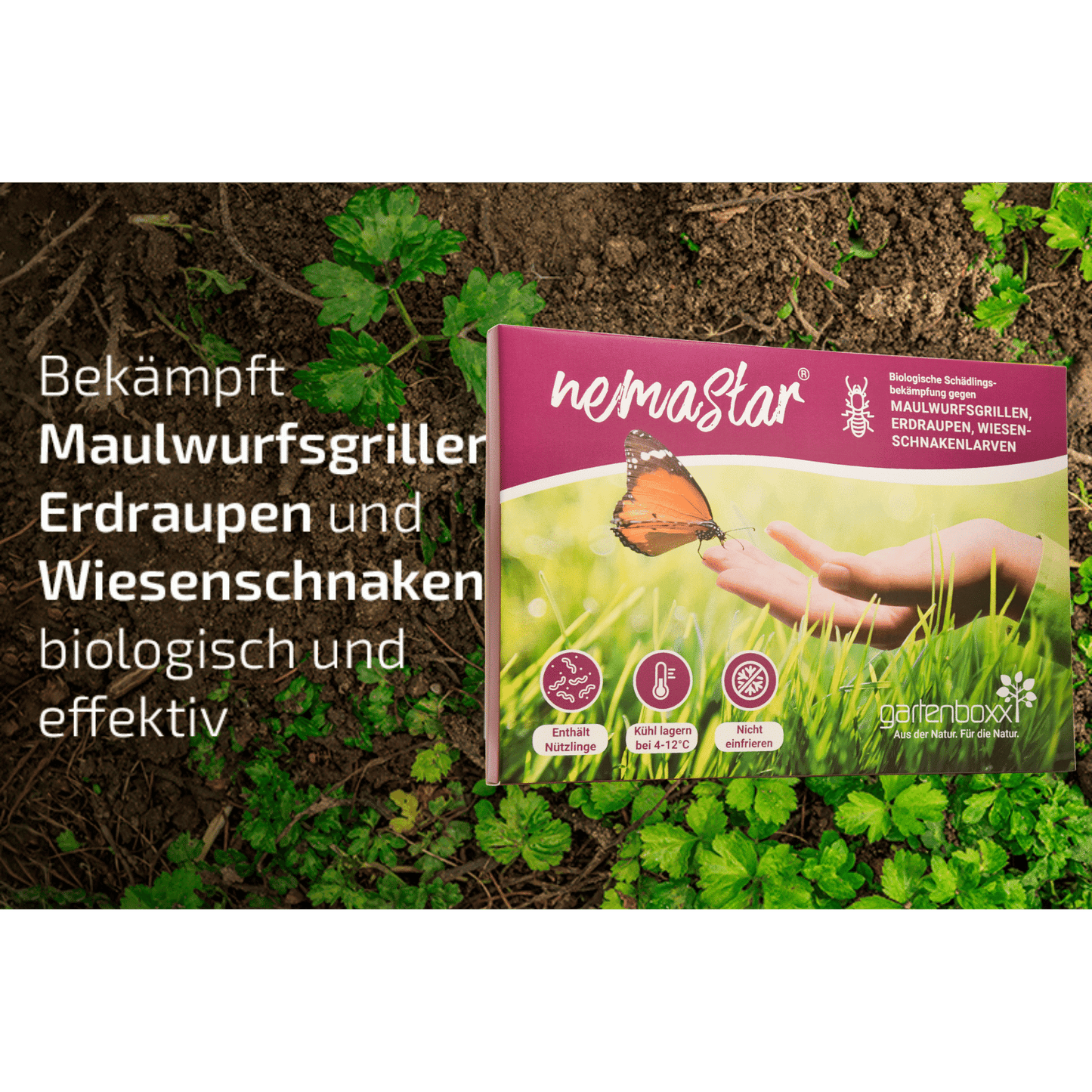 Nemastar - Nematoden gegen Maulwurfsgrille und Wiesenschnake - Pfl.Reg.Nr. 2969