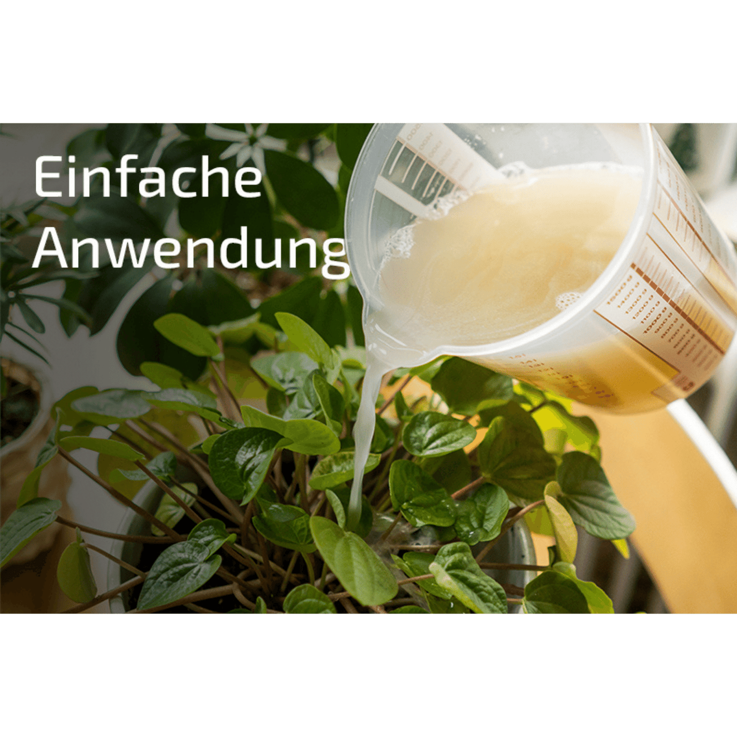 SET: Nematop - Nematoden gegen Dickmaulrüssler - Pfl.Reg.Nr. 2730 PLUS Aquanemix