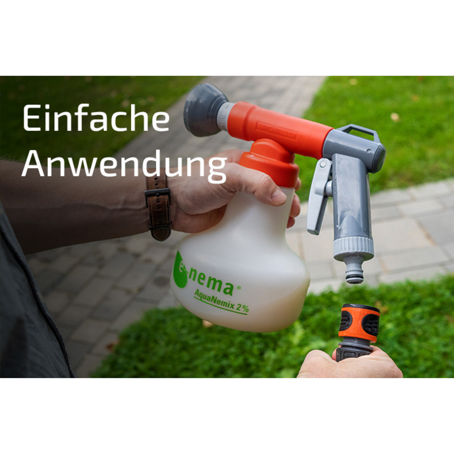 SET: Nemastar - Nematoden gegen Maulwurfsgrille und Wiesenschnake PLUS Aquanemix