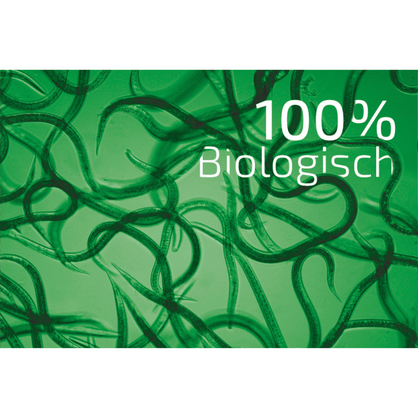 SET: Nema-Green Nematoden gegen Gartenlaubkäfer - Pfl.Reg.Nr. 3518 PLUS Aquanemix