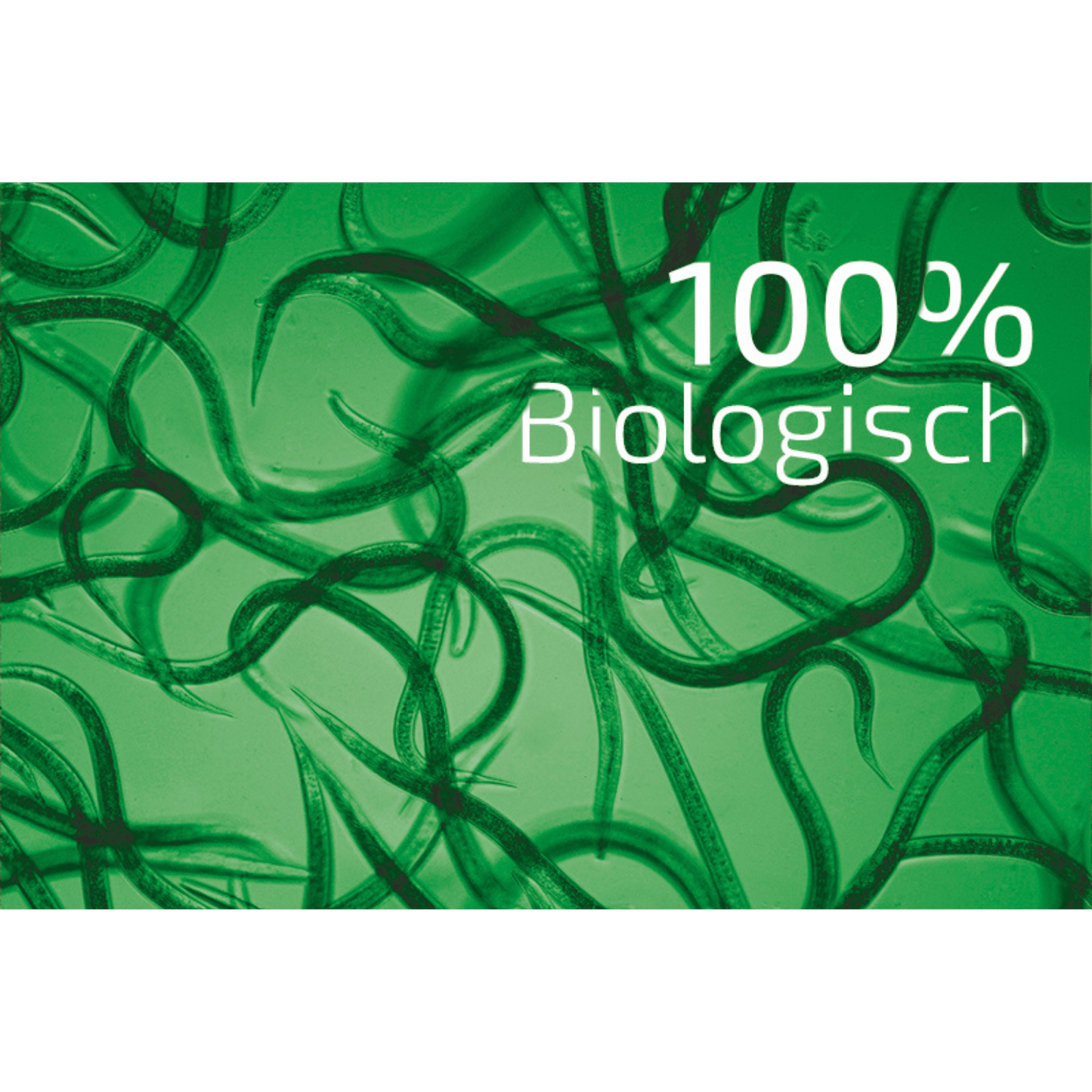 SET: Nematop - Nematoden gegen Dickmaulrüssler - Pfl.Reg.Nr. 2730 PLUS Aquanemix