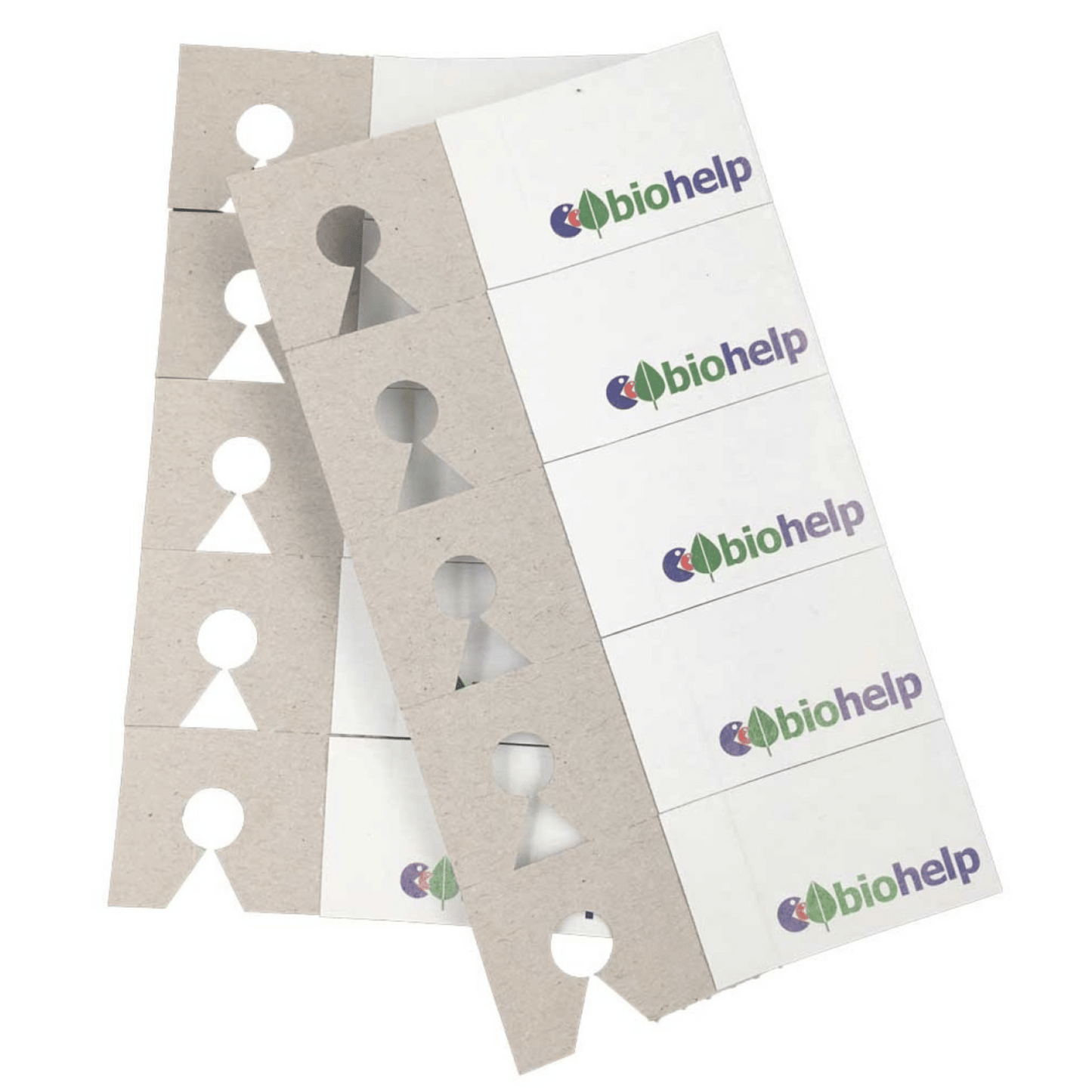 Encon - 3x Erzwespe Encarsia formosa geg. Weiße Fliege