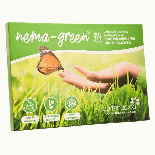 Nema-Green Nematoden gegen Gartenlaubkäfer - Pfl.Reg.Nr. 3518