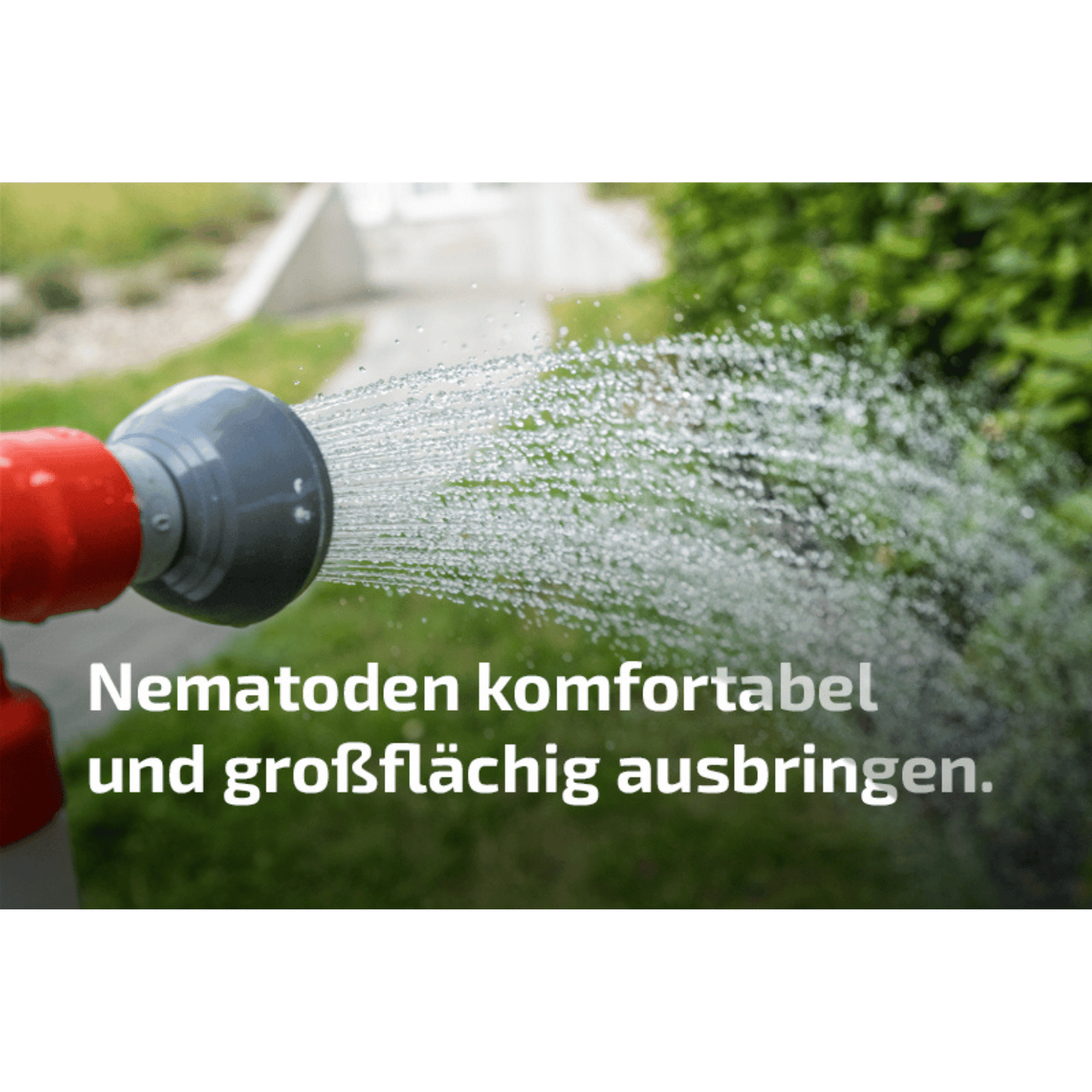 Aquanemix Sprühgerät für Nematoden und Pflanzenschutz 1.25 V / 2%