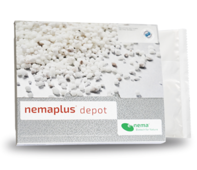 Nemaplus Depot  - Nematoden gegen Trauermücken - in Alginat Kapseln für 10l Erde