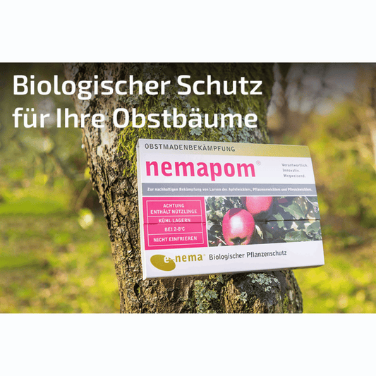 nemapom - Nematoden gegen Apfelwicklerlarven - Pfl.Reg.Nr. 3519