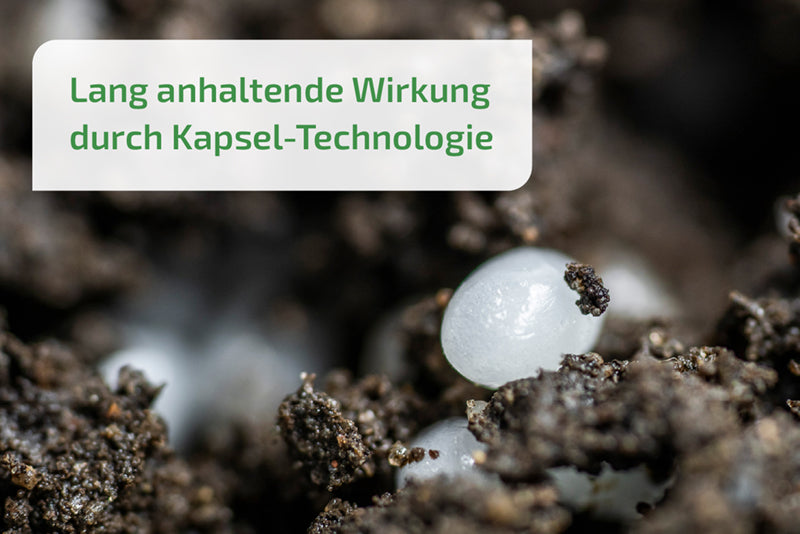 Nemaplus Depot  - Nematoden gegen Trauermücken - in Alginat Kapseln für 10l Erde